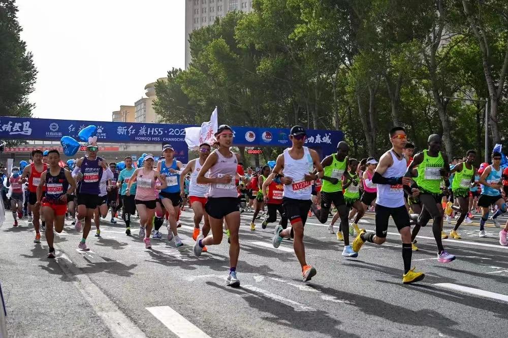 1685347137264185.jpg 1685347137264185.jpg